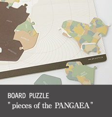 pieces of the PANGAEA